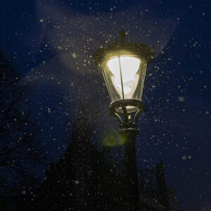 lantaarn winter